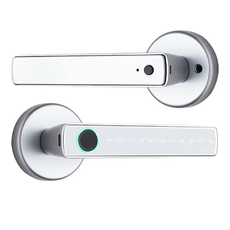 Elektroniczna klamka do drzwi  – Door Handle recenzja i cena